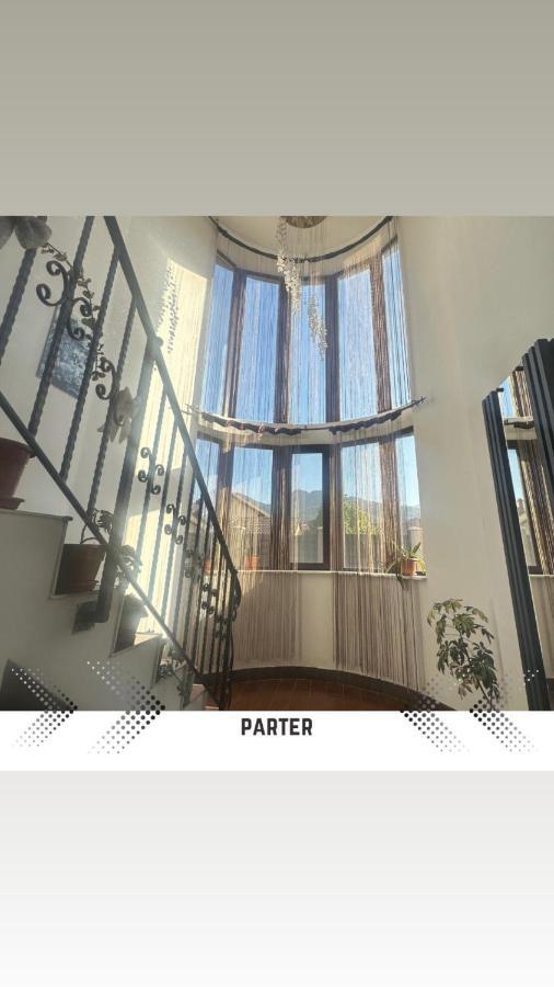 Vila Mik Guesthouse Săcele Zewnętrze zdjęcie